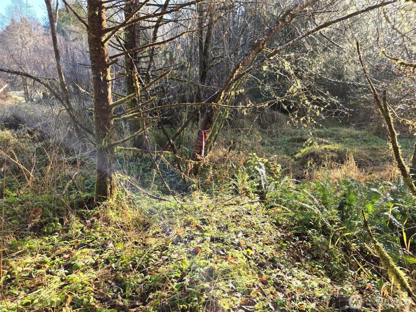 0 NKA Fall River Road , Cosmopolis, WA 98537