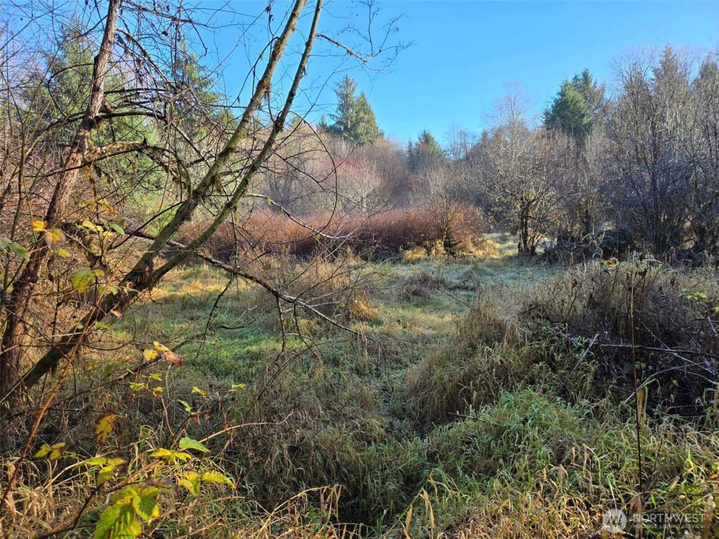 0 NKA Fall River Road , Cosmopolis, WA 98537