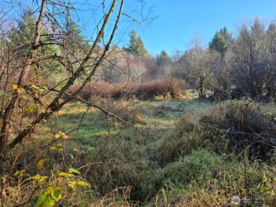 0 NKA Fall River Road , Cosmopolis, WA 98537 - Photo 7