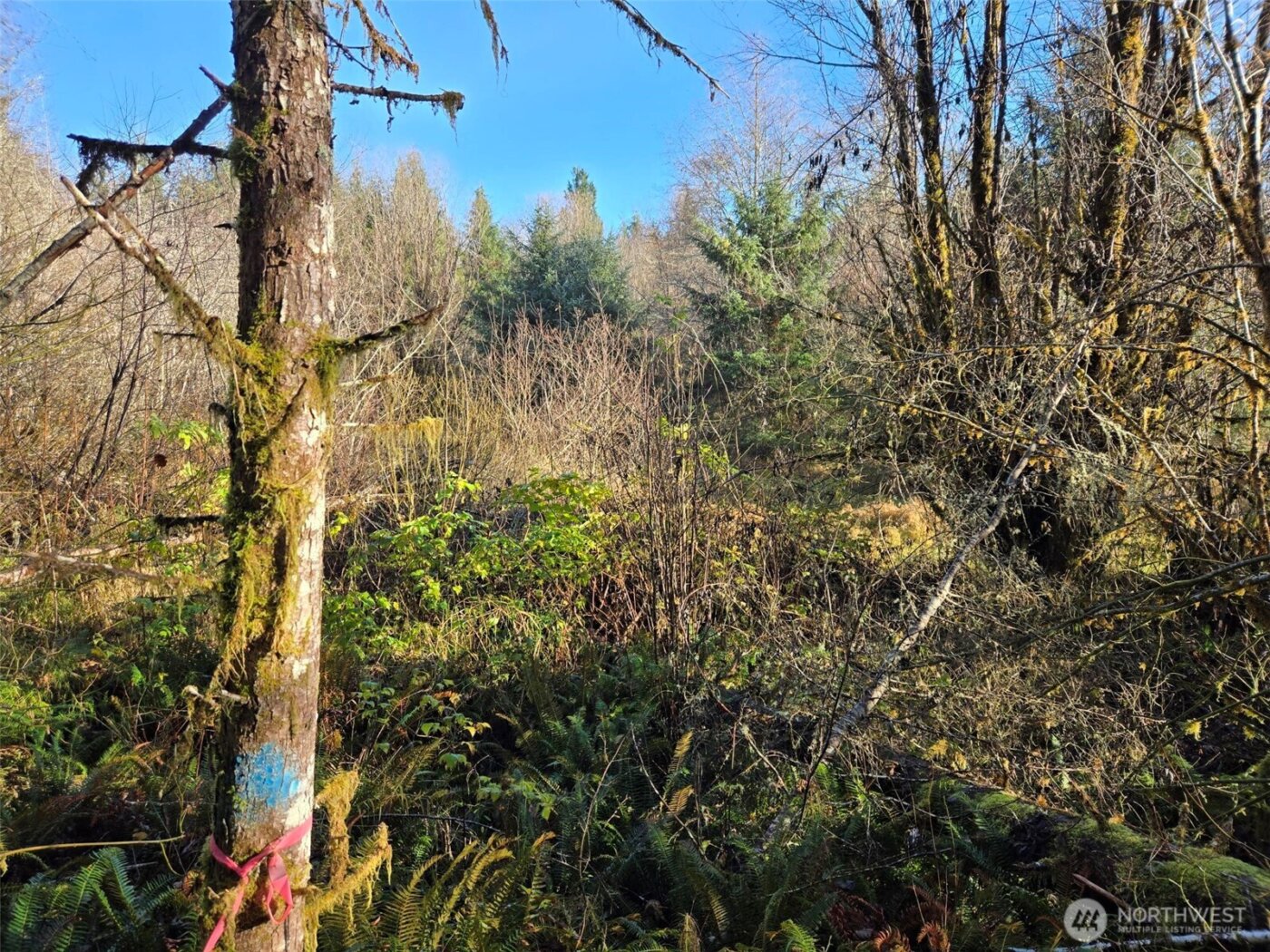 0 NKA Fall River Road , Cosmopolis, WA 98537