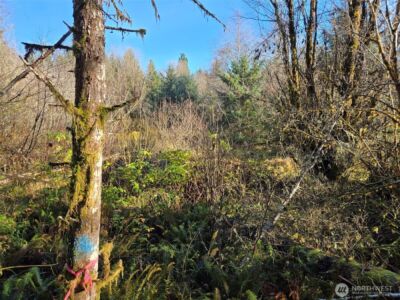 0 NKA Fall River Road , Cosmopolis, WA 98537 - Photo 8