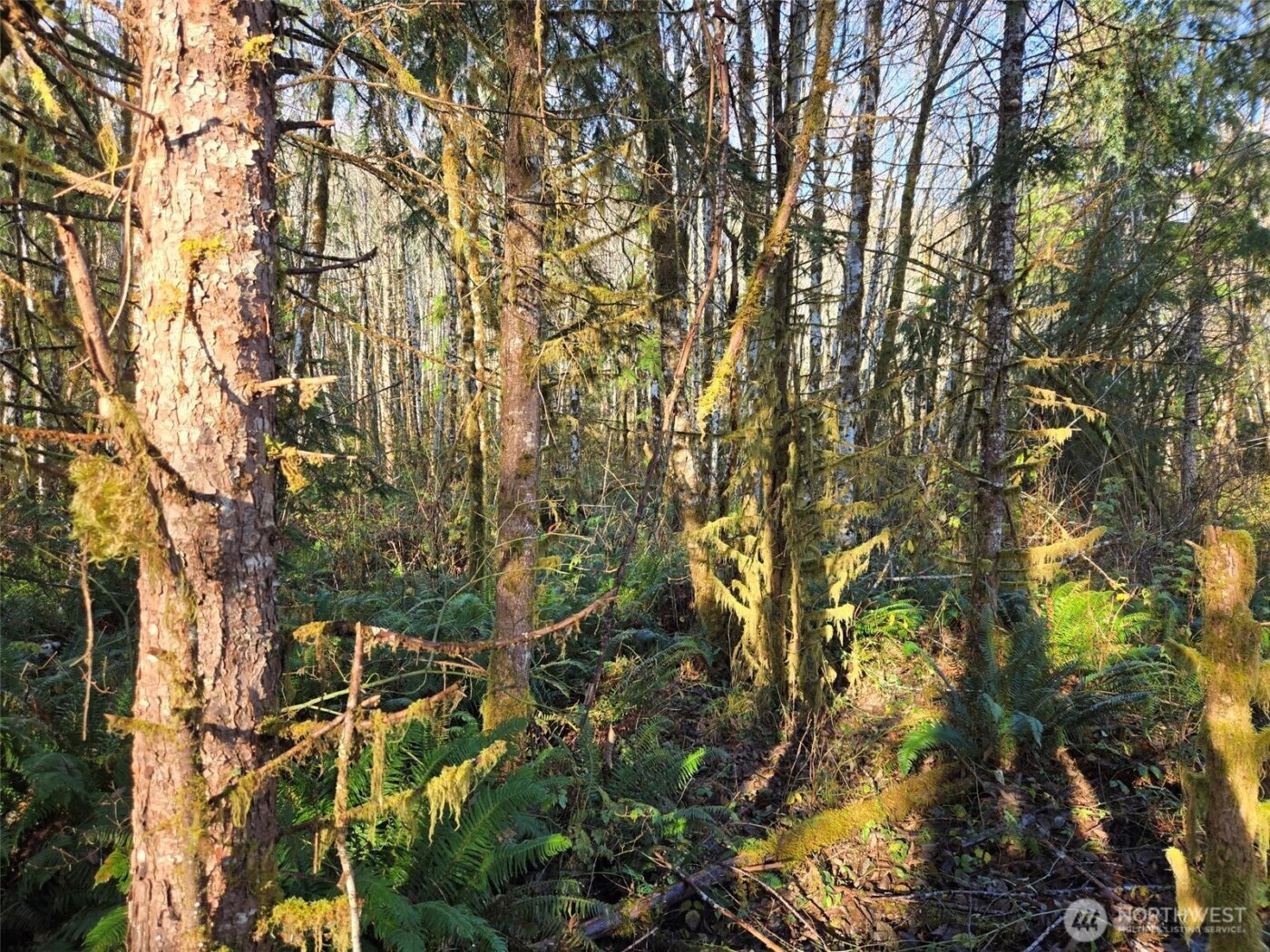 0 NKA Fall River Road , Cosmopolis, WA 98537