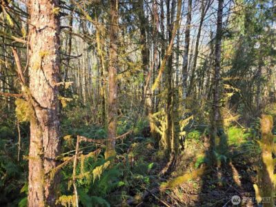 0 NKA Fall River Road , Cosmopolis, WA 98537 - Photo 9