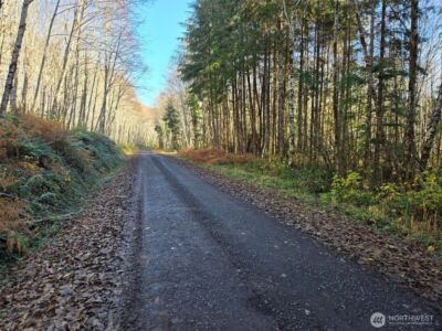 0 NKA Fall River Road , Cosmopolis, WA 98537 - Photo 10