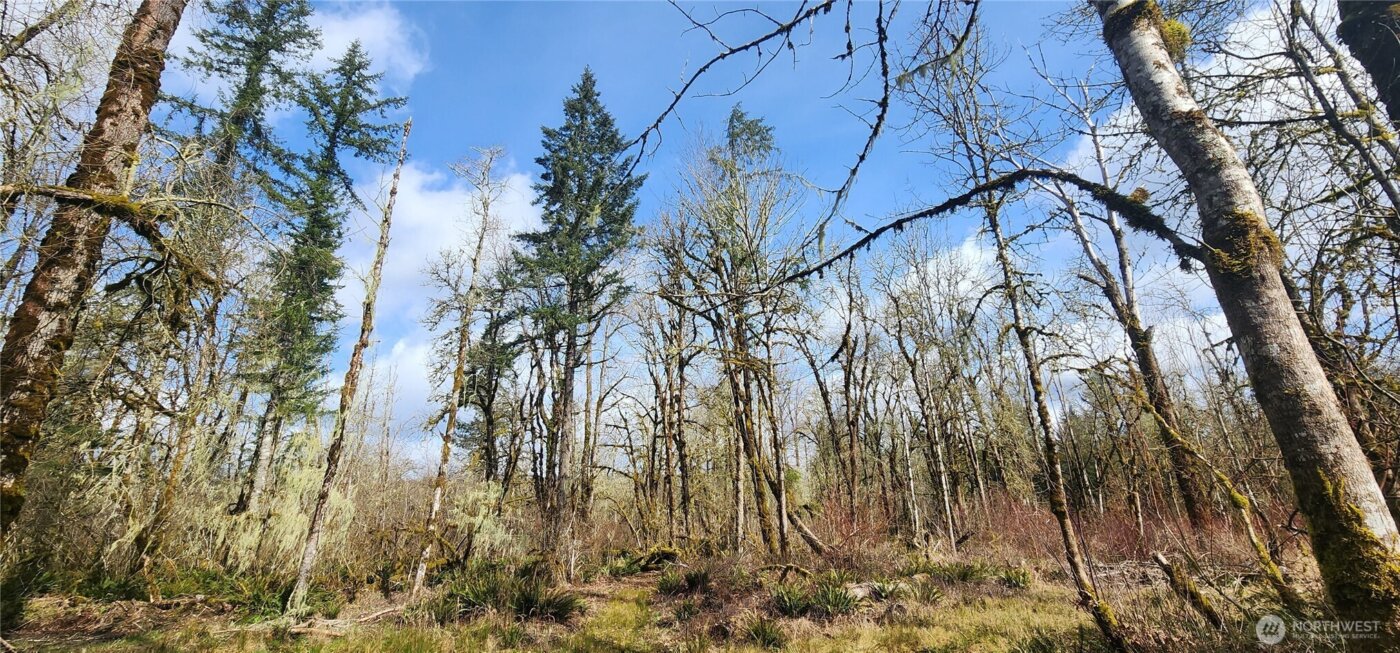 285 Justus Rd , Cinebar, WA 98533