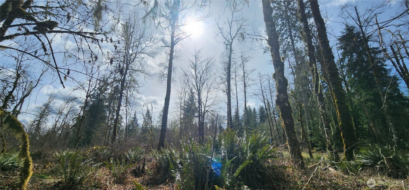 285 Justus Rd , Cinebar, WA 98533