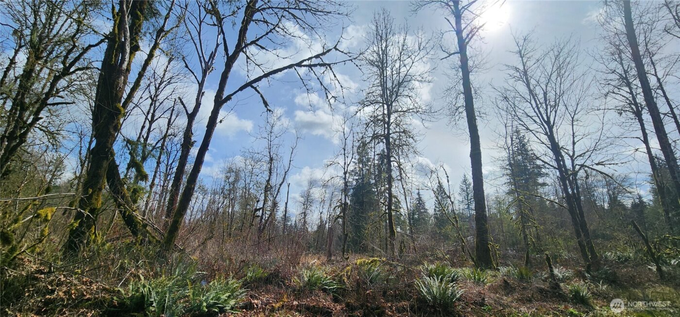 285 Justus Rd , Cinebar, WA 98533