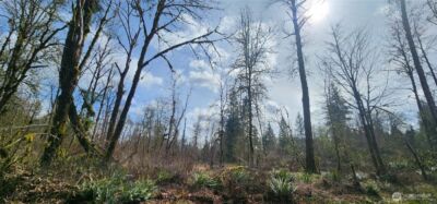 285 Justus Rd , Cinebar, WA 98533 - Photo 16