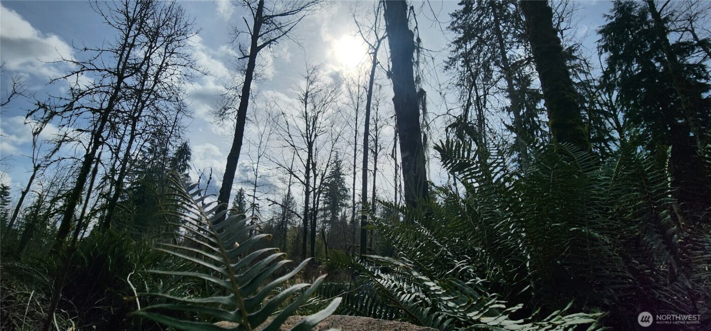 285 Justus Rd , Cinebar, WA 98533