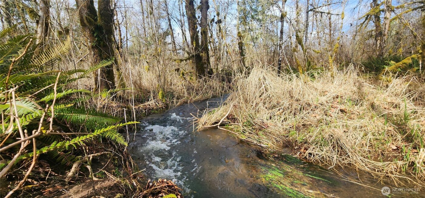 285 Justus Rd , Cinebar, WA 98533