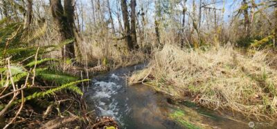 285 Justus Rd , Cinebar, WA 98533 - Photo 20