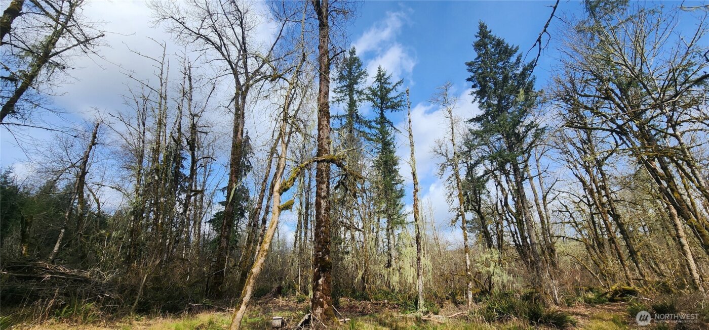 285 Justus Rd , Cinebar, WA 98533