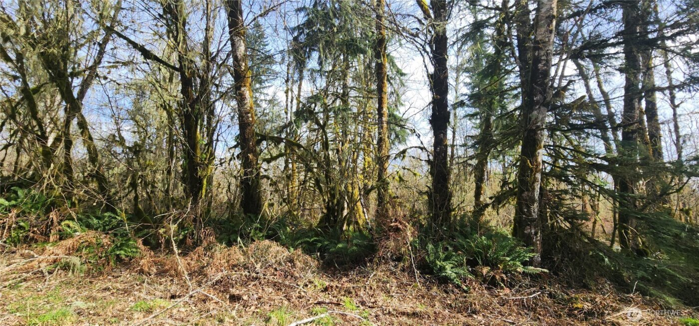 285 Justus Rd , Cinebar, WA 98533