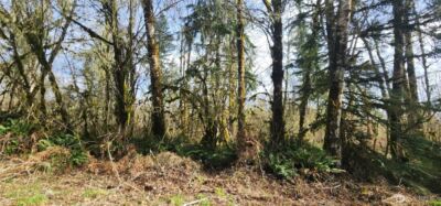 285 Justus Rd , Cinebar, WA 98533 - Photo 21