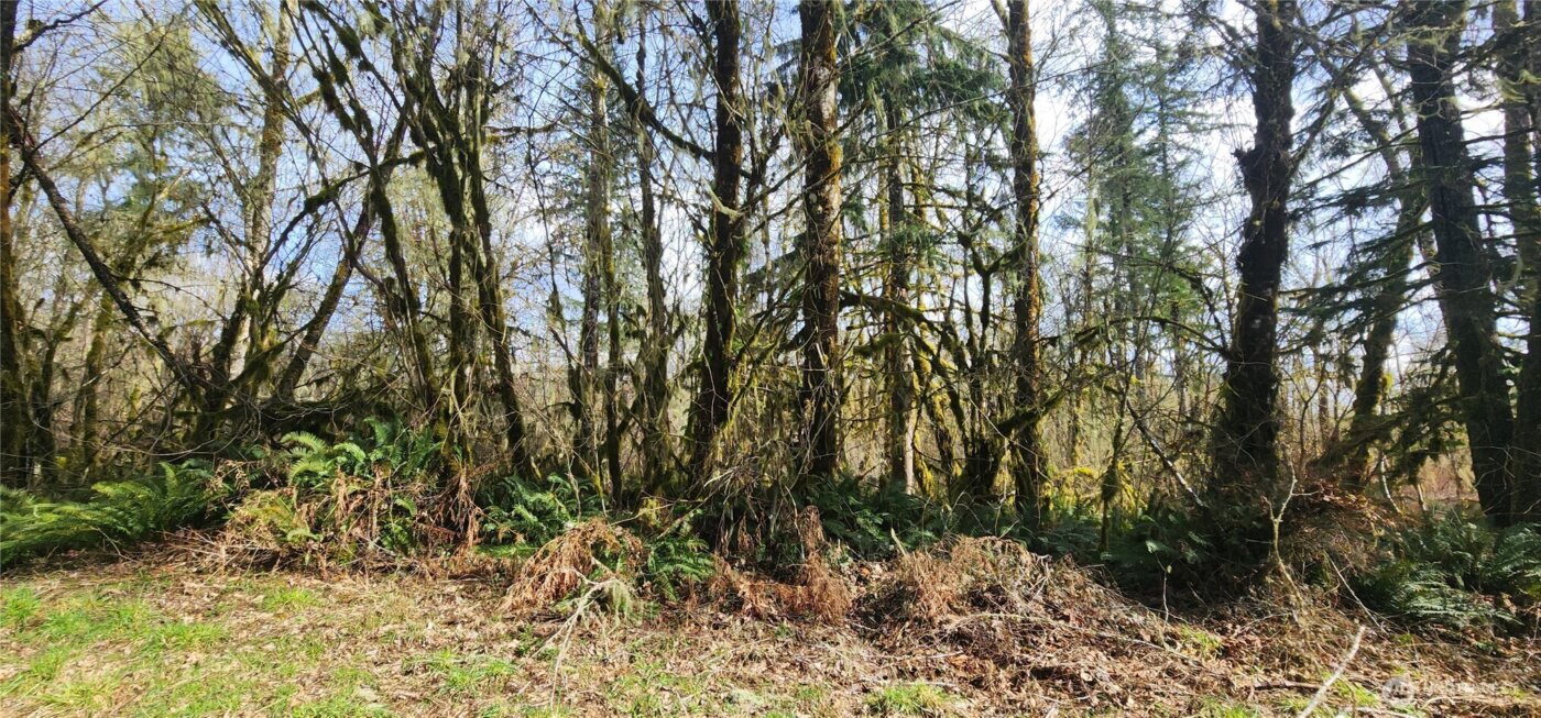 285 Justus Rd , Cinebar, WA 98533