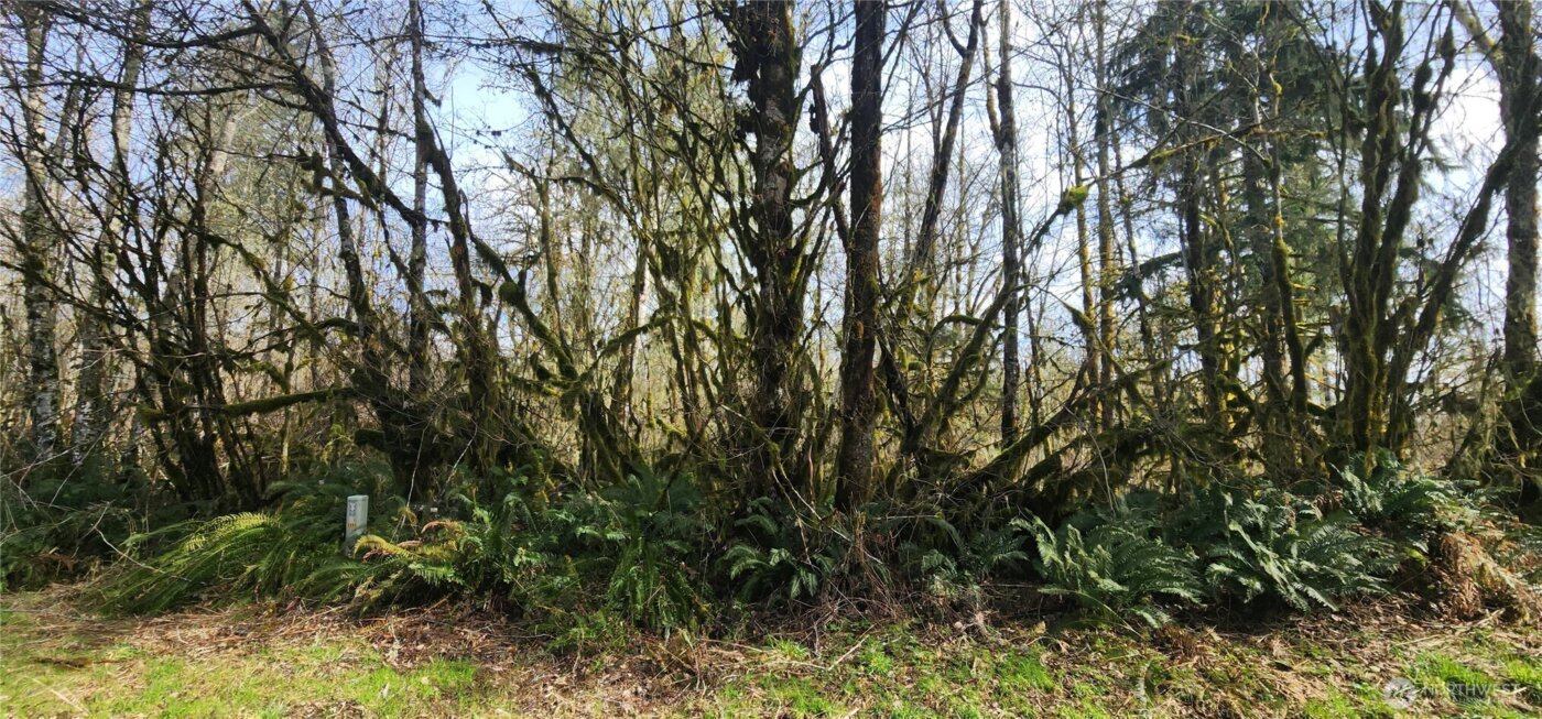 285 Justus Rd , Cinebar, WA 98533