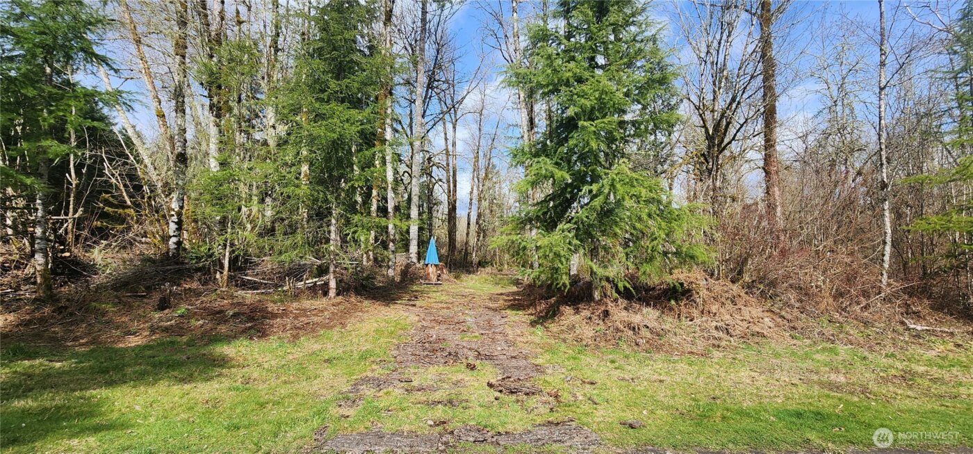 285 Justus Rd , Cinebar, WA 98533