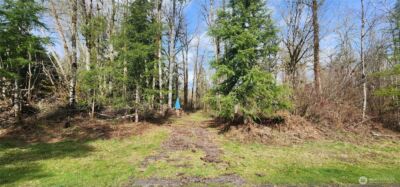 285 Justus Rd , Cinebar, WA 98533 - Photo 24