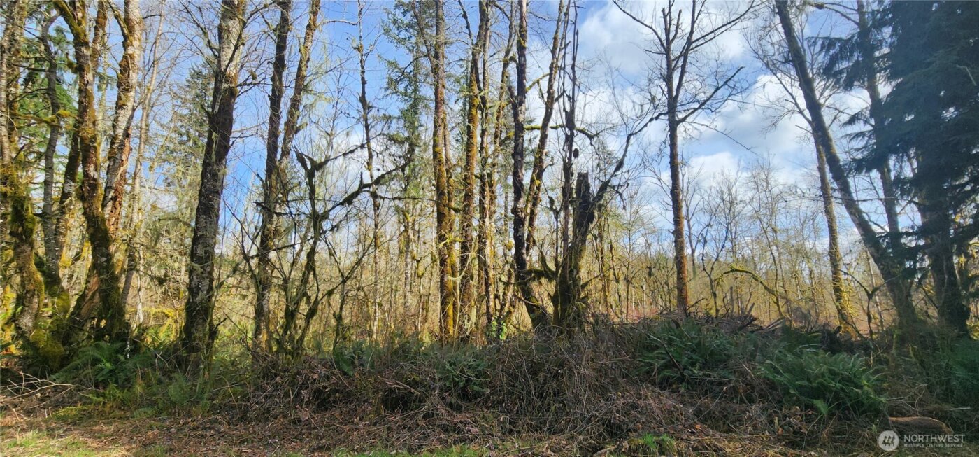 285 Justus Rd , Cinebar, WA 98533