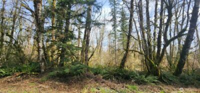 285 Justus Rd , Cinebar, WA 98533 - Photo 26