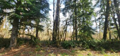 285 Justus Rd , Cinebar, WA 98533 - Photo 27