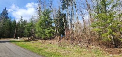 285 Justus Rd , Cinebar, WA 98533 - Photo 28