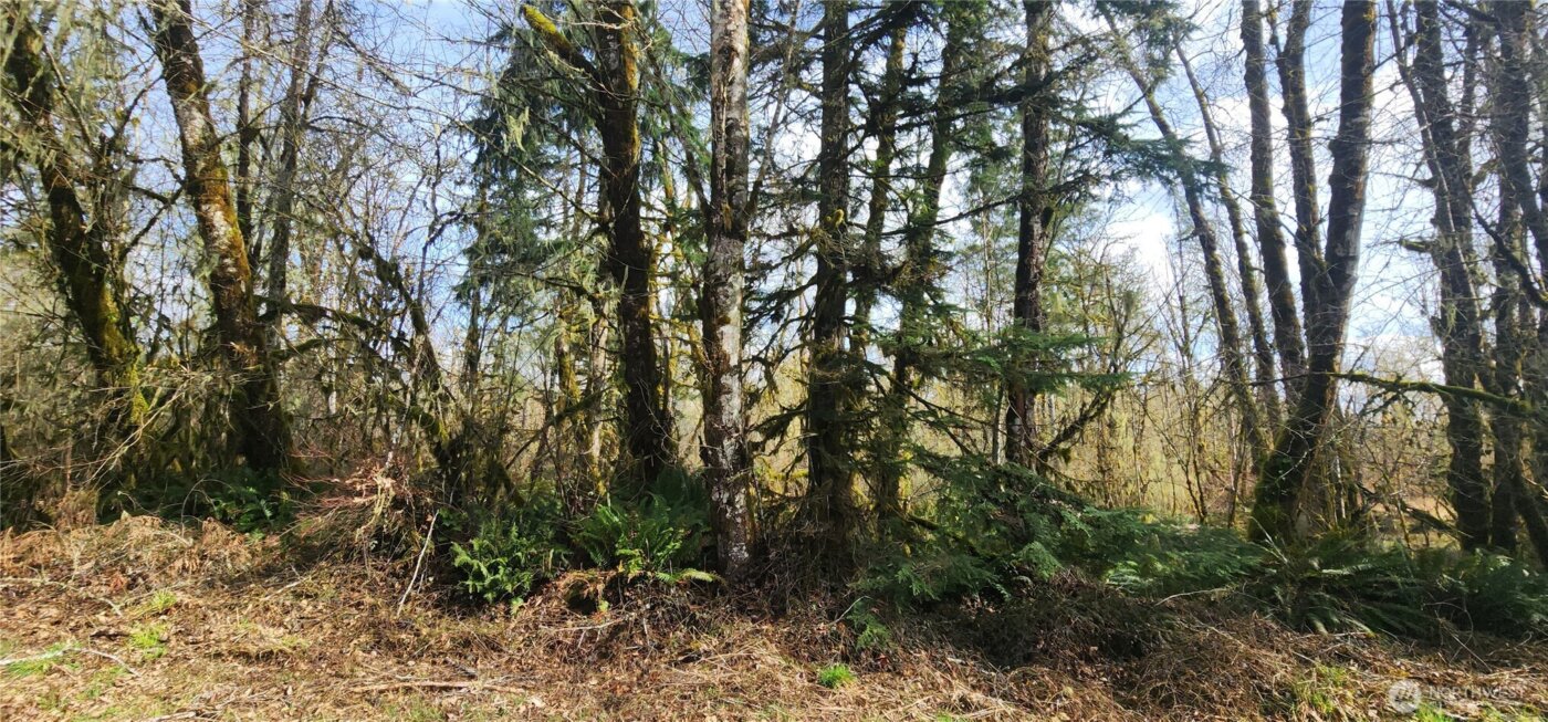 285 Justus Rd , Cinebar, WA 98533