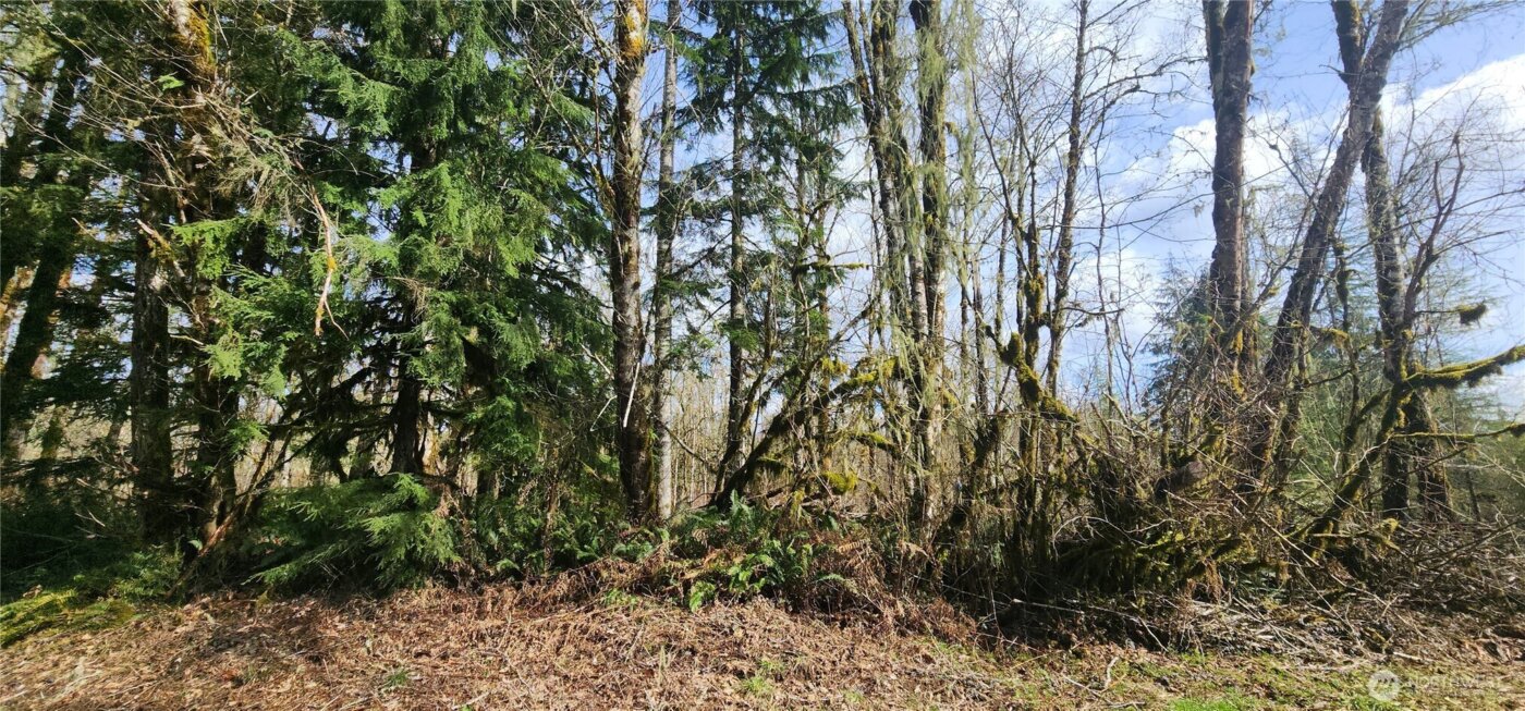 285 Justus Rd , Cinebar, WA 98533