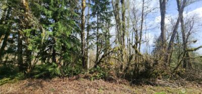 285 Justus Rd , Cinebar, WA 98533 - Photo 30