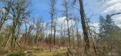 285 Justus Rd , Cinebar, WA 98533 - Photo 4