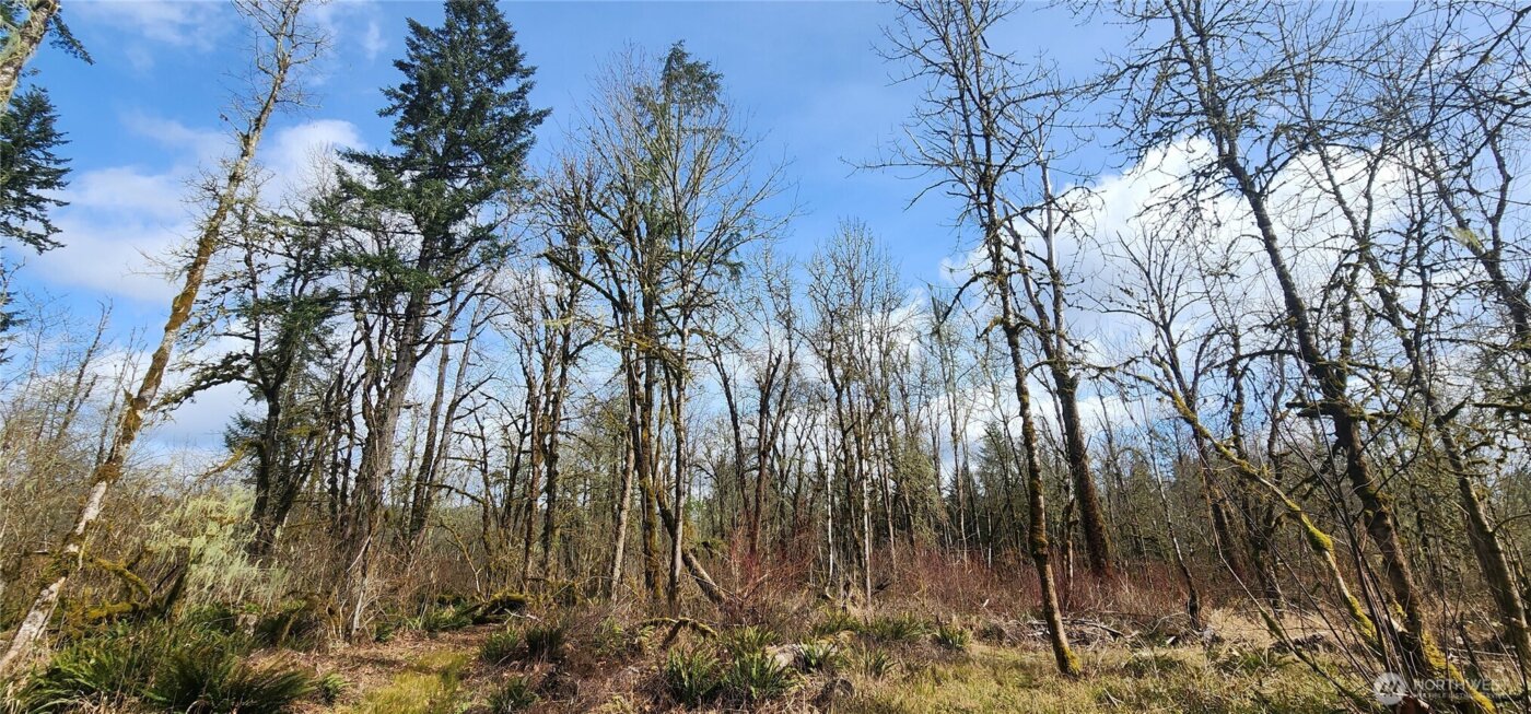 285 Justus Rd , Cinebar, WA 98533