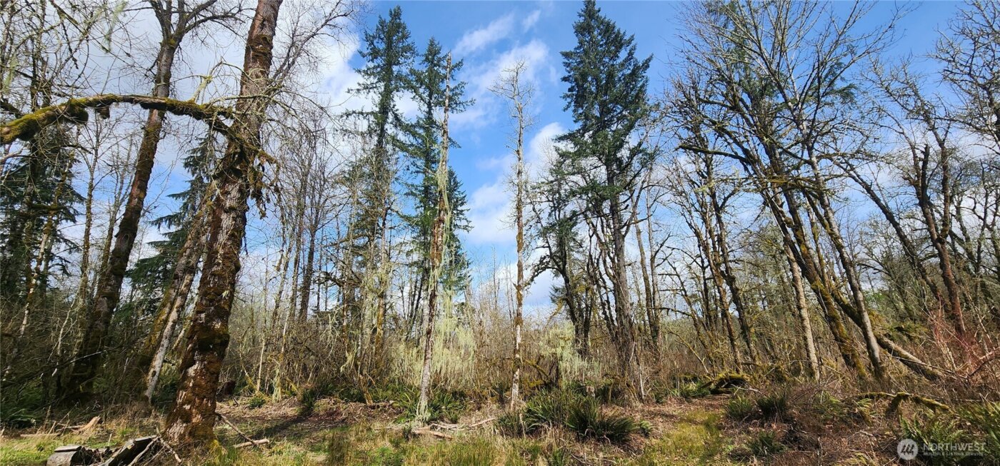 285 Justus Rd , Cinebar, WA 98533