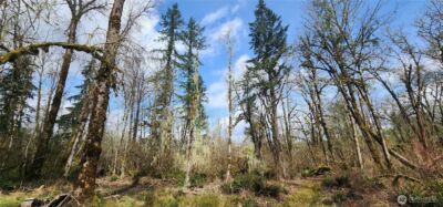 285 Justus Rd , Cinebar, WA 98533 - Photo 6