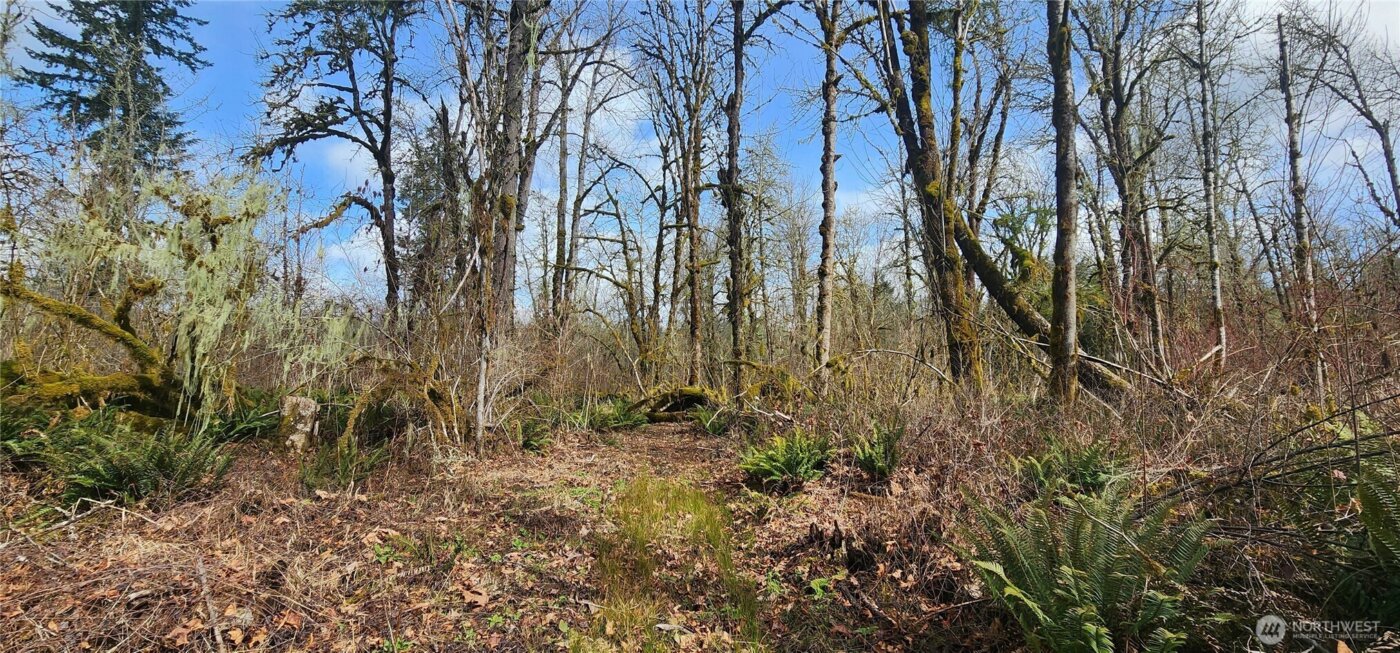 285 Justus Rd , Cinebar, WA 98533