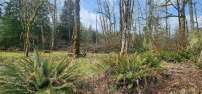 285 Justus Rd , Cinebar, WA 98533 - Photo 8