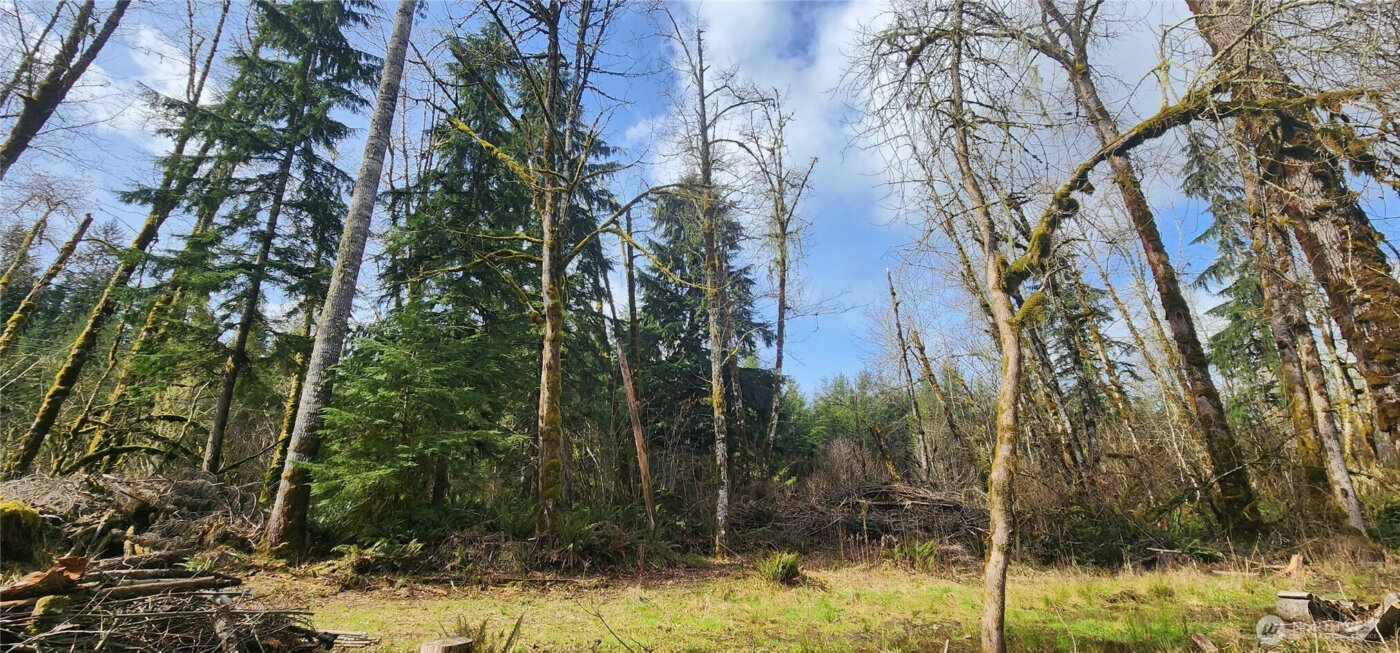 285 Justus Rd , Cinebar, WA 98533