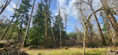 285 Justus Rd , Cinebar, WA 98533 - Photo 9