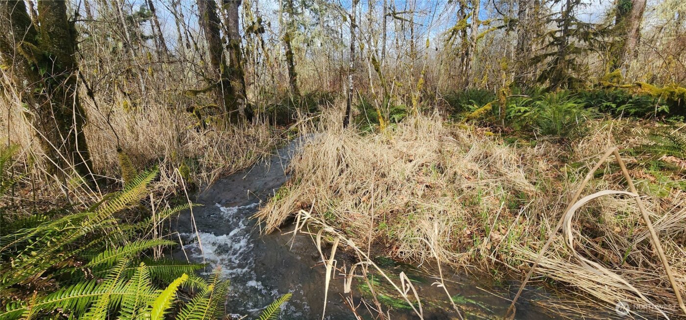 285 Justus Rd , Cinebar, WA 98533