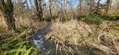 285 Justus Rd , Cinebar, WA 98533 - Photo 10