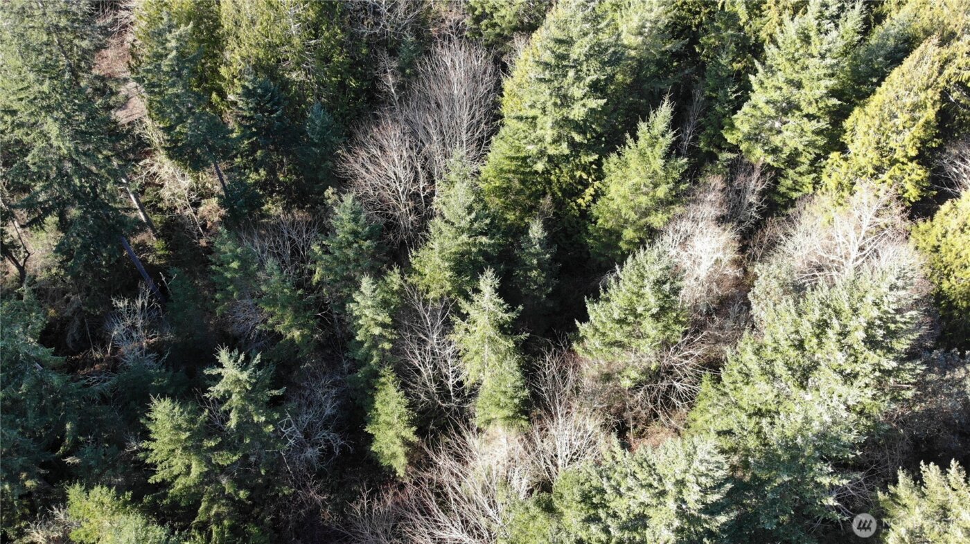 7515 Whiteman Road SW, Longbranch, WA 98351