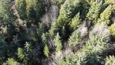 7515 Whiteman Road SW, Longbranch, WA 98351 - Photo 11