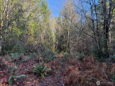 7515 Whiteman Road SW, Longbranch, WA 98351 - Photo 6