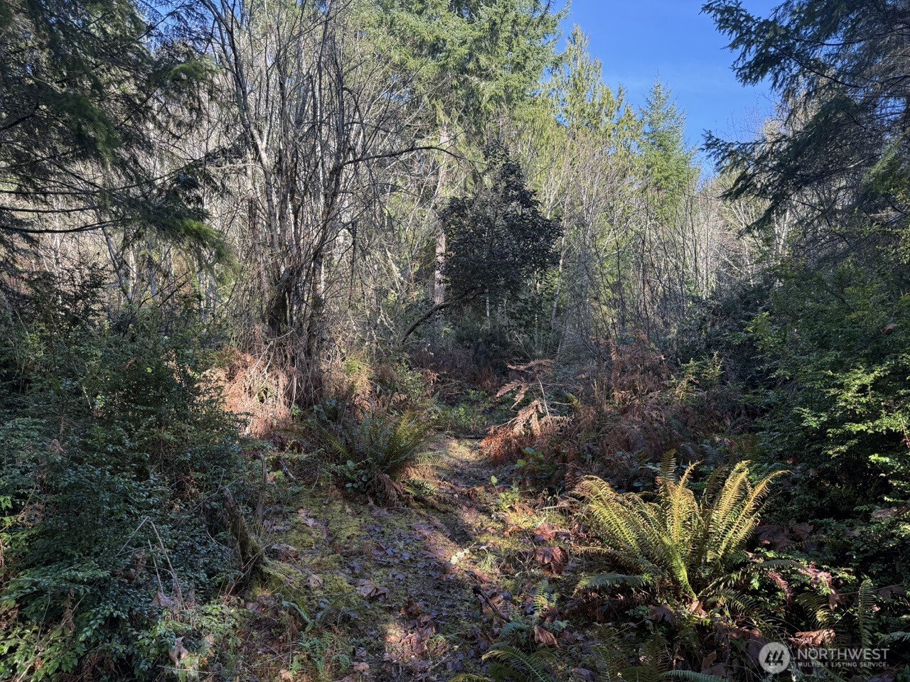 7515 Whiteman Road SW, Longbranch, WA 98351