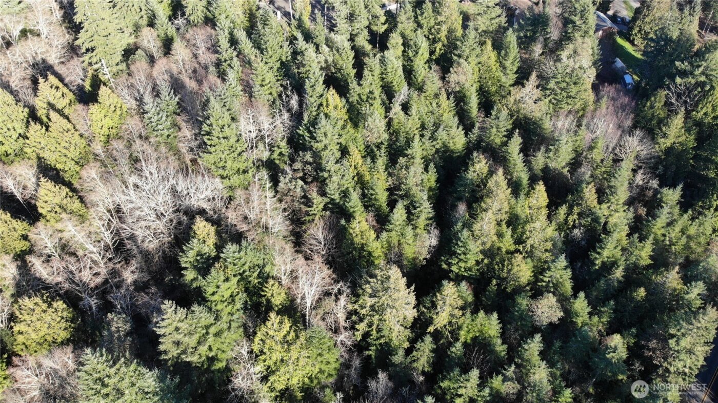 7515 Whiteman Road SW, Longbranch, WA 98351