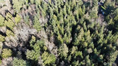 7515 Whiteman Road SW, Longbranch, WA 98351 - Photo 10