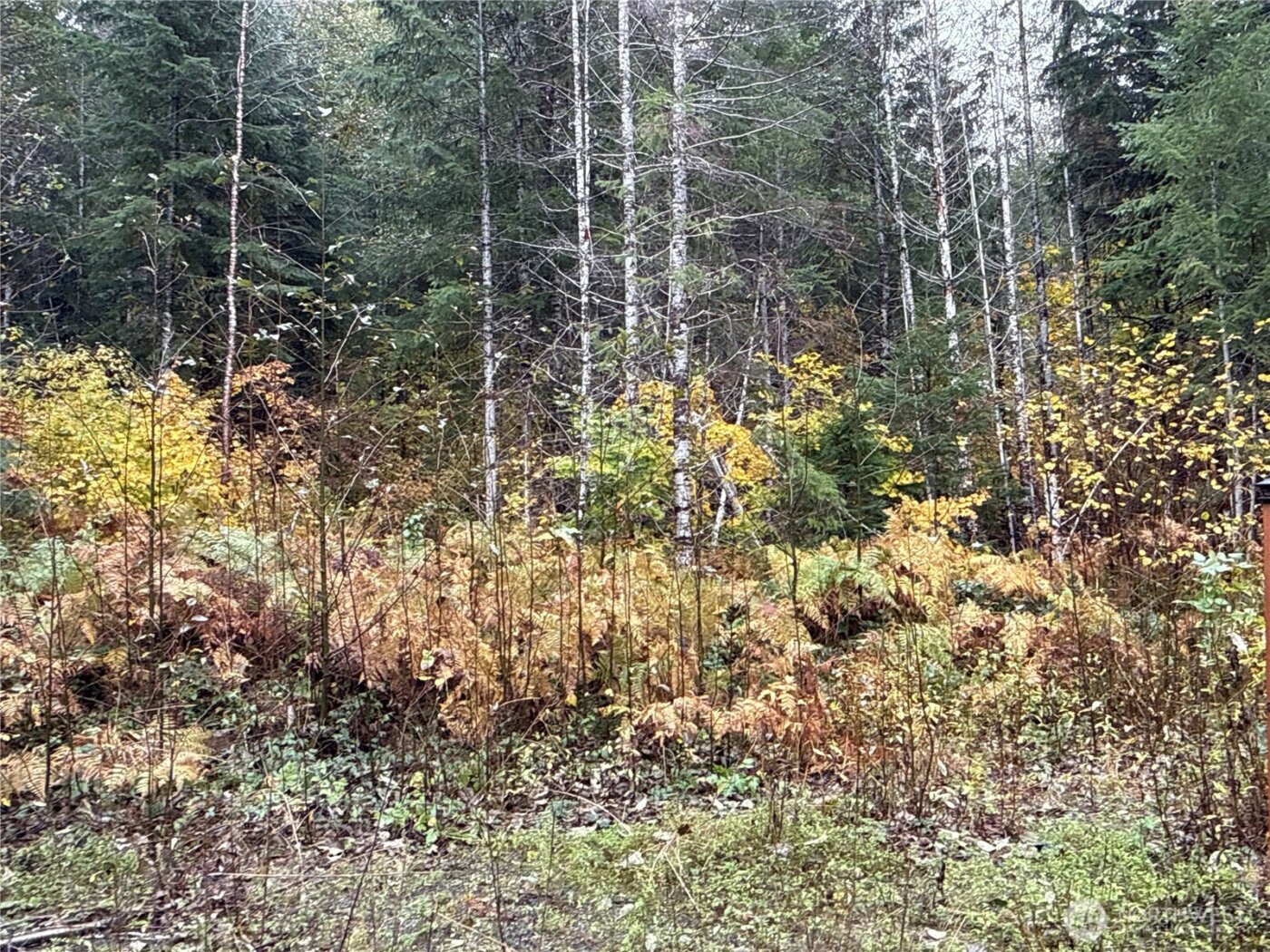 4 XX Forest Road 52 , Packwood, WA 99338