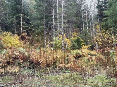 4 XX Forest Road 52 , Packwood, WA 99338 - Photo 12