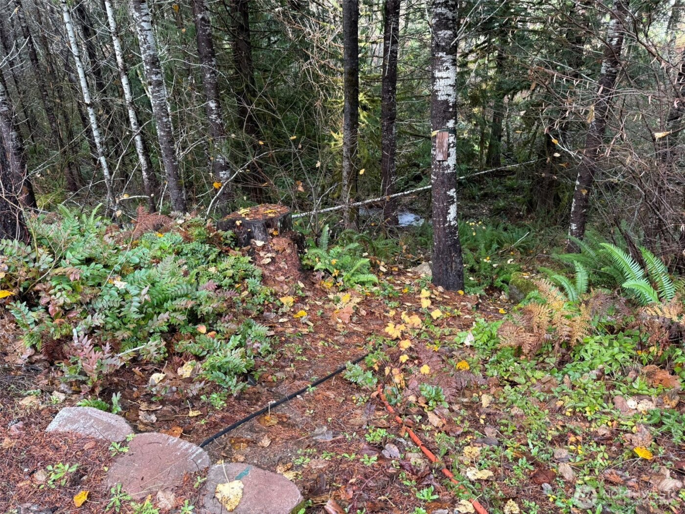 4 XX Forest Road 52 , Packwood, WA 99338