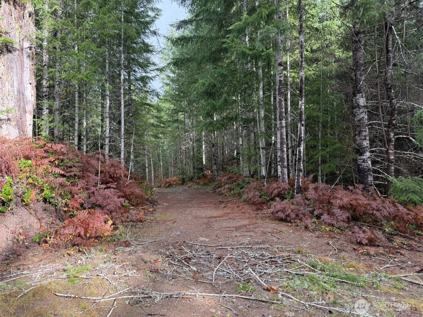 4 XX Forest Road 52 , Packwood, WA 99338