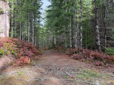 4 XX Forest Road 52 , Packwood, WA 99338 - Photo 15